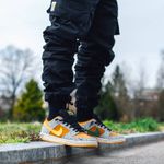 Tênis Nike Dunk Low Pro SB Safari