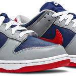 Tênis Nike Dunk Low Retro Samba 2020