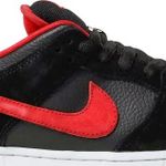 Tênis Nike Dunk Low Pro SB Jpack