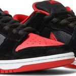 Tênis Nike Dunk Low Pro SB Jpack