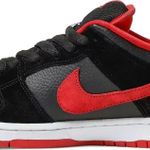 Tênis Nike Dunk Low Pro SB Jpack