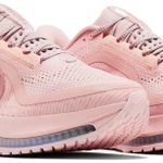 Tênis Nike Pegasus Premium Atmosphere