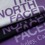 Camisa The North Face x Palace Black Label