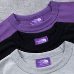 Camisa The North Face x Palace Grey Label