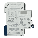 DISJUNTOR 2P CURVA C MDWP-C 16A  WEG 15265722