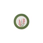 Prato de Sobremesa Boca de Leão Verde - Scalla