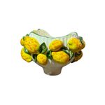 Cachepot Orgânico Baixo Limão – Luiz Salvador