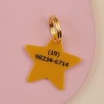 Tag de Identificação Estrela Mostarda