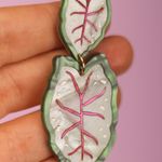 Brinco Caladium