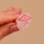 Anel Creuza Rosa Claro Perolado