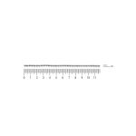 Corrente De Bolinha Níquel 2 mm