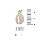 Pingente Búzios Bege 13 mm