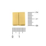 Fechamento Retangular Ouro E 19 mm