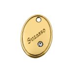 Pingente Sucesso Ouro 14 mm