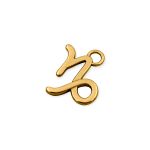 Pingente Signo Capricórnio Ouro 14 mm