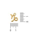 Pingente Signo Capricórnio Ouro 14 mm