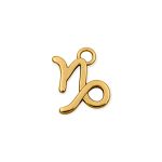 Pingente Signo Capricórnio Ouro 14 mm