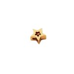Passador Estrela Ouro 14 mm