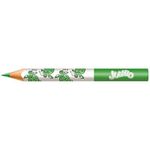 Lápis de Cor Jumbo Triangular  24 Cores  Faber-Castell