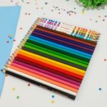 Lápis de Cor 20 Ecolápis + 4 Lápis Bicolor - Faber-Castell