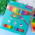 Lápis de Cor 24 Cores  -  Multicolor