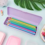 Estojo Escolar Simples de Plástico Plus - Waleu