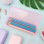 Estojo Escolar Simples de Plástico Plus - Waleu