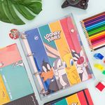 Fichário Tamanho Universitário Looney Tunes 25 cm x 31 cm com 192 Folhas Pautadas - Dac