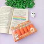 Caneta Marca Texto Cenoura 6 Cores - Importado