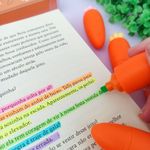 Caneta Marca Texto Cenoura 6 Cores - Importado