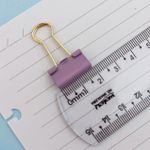 Prendedor de Papel 19mm 6 Unidades (Lilás, Rosa e Verde Água) - Interponte