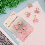 Prendedor de Papel 19mm 6 Unidades (Lilás, Rosa e Verde Água) - Interponte