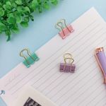 Prendedor de Papel 19mm 6 Unidades (Lilás, Rosa e Verde Água) - Interponte