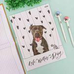 Caderno Brochura Universitário My Pets 20 x 27,5 cm 48 Folhas - São Domingos