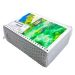 Kit c/20 Cadernos 1/4 48 Folhas Flexível CAPAS SORTIDAS - Panamericana