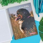 Caderno Espiral Capa Dura Universitário 15 Matérias Cães e Gatos 160 Folhas 20 x 27,5 cm  - Panamericana