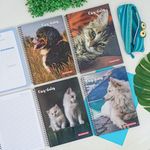 Caderno Espiral Capa Dura Universitário 15 Matérias Cães e Gatos 160 Folhas 20 x 27,5 cm  - Panamericana