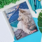 Caderno Espiral Capa Dura Universitário 15 Matérias Cães e Gatos 160 Folhas 20 x 27,5 cm  - Panamericana