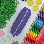 Estojo Escolar Roxo Simples Lona BLX 22 - Daterra
