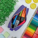 Estojo Escolar Roxo Simples Lona BLX 22 - Daterra