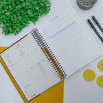 Caderno Universitário 20 cm x 27,5 cm Only 15 Matérias 210 Folhas - PanAmericano