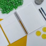 Caderno Universitário 20 cm x 27,5 cm Only 15 Matérias 210 Folhas - PanAmericano
