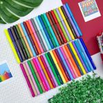 Caneta Hidrográfica Vai e Vem 50 cores (Canetinhas) Lavável  + Estojo Exclusivo - Faber-Castell