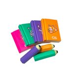 Borracha Fantasia Mini Livros e Lápis- Cis