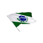 Bandeira do Paraná em Tecido 135 x 193 cm - Vide Band