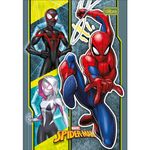 Caderno 1/4 Brochura Spider Man 80 folhas 14 x 20 cm - Tilibra