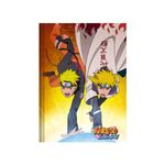 Caderno Brochura Universitário Naruto 48 Folhas 20 x 27,5 cm - Animativa