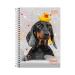 Caderno 1/8 Espiral Zoom+ 96 Folhas 11 x 15,4cm - Tilibra