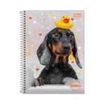Caderno Universitário Espiral Zoom+ 12 Matérias 20 x 27,5 cm 240 Folhas - Tilibra