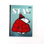 Caderno Colegial Brochura Snoopy 80 Folhas 17,6 x 23,9 cm - Tilibra | Vintage
